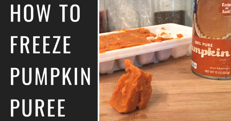 How to Freeze Pumpkin for Nice Cream