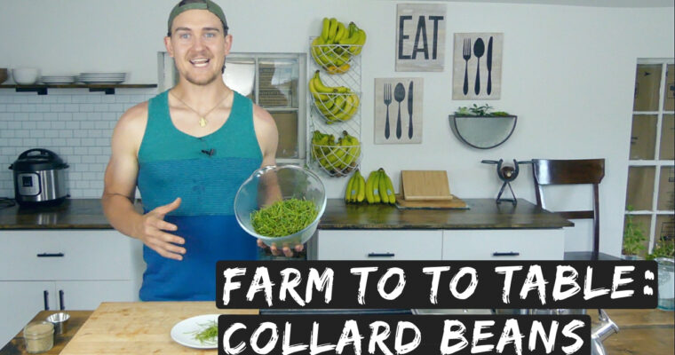 How to Cook Collard Green Seed Pods