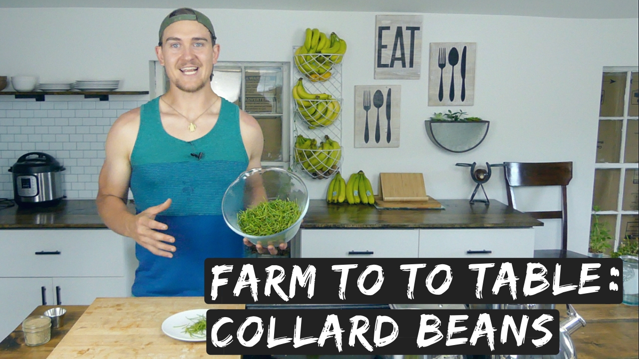 How to Cook Collard Green Seed Pods
